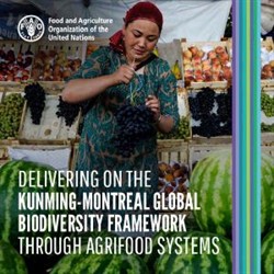 FAO (2024)