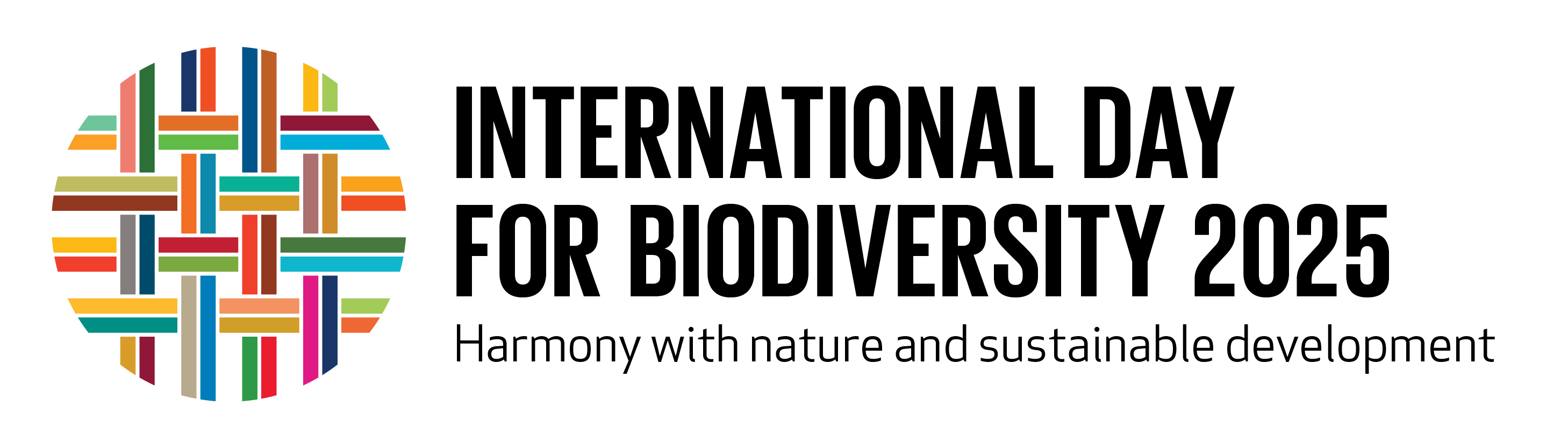 IDB Logo 2025